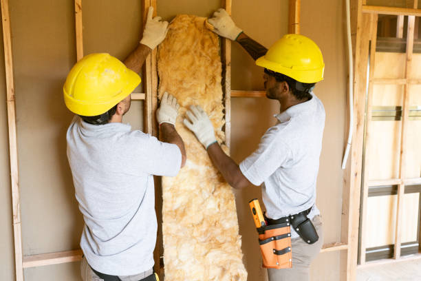 Best Insulation Removal  in Corry, PA