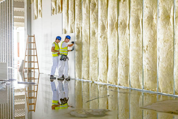 Best Crawl Space Insulation  in Corry, PA